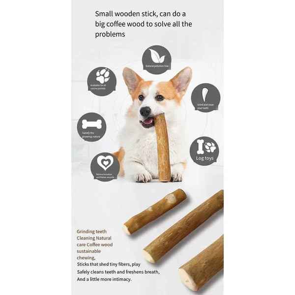 Coffee Wooden Dog Chews: A Natural Chew Toy