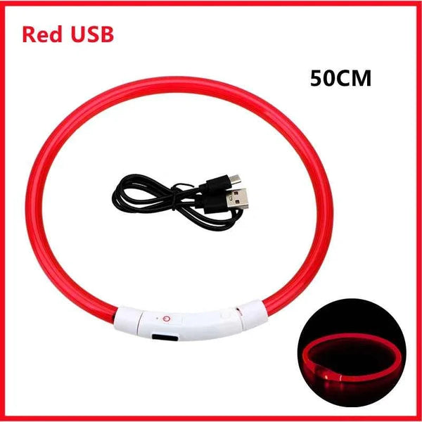 LED Pet Dog Collar for Night Safety | Bright USB Rechargeable