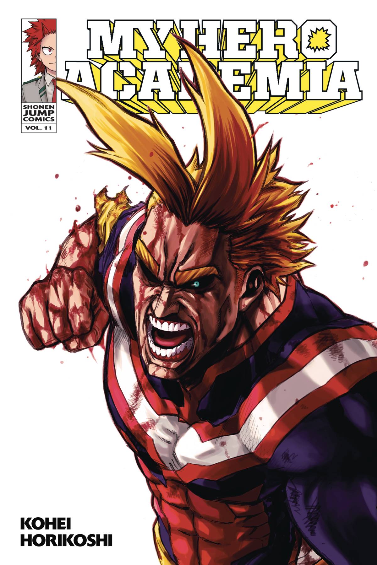 My Hero Academia VOL 11 Main image