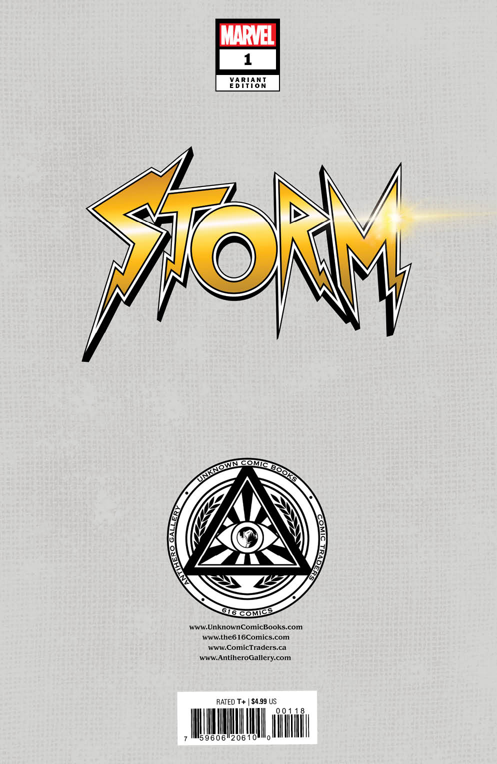 Storm #1 Unknown Comics Sabine Rich Exclusive Virgin Var (05/24/2023) - Collectors World Toys