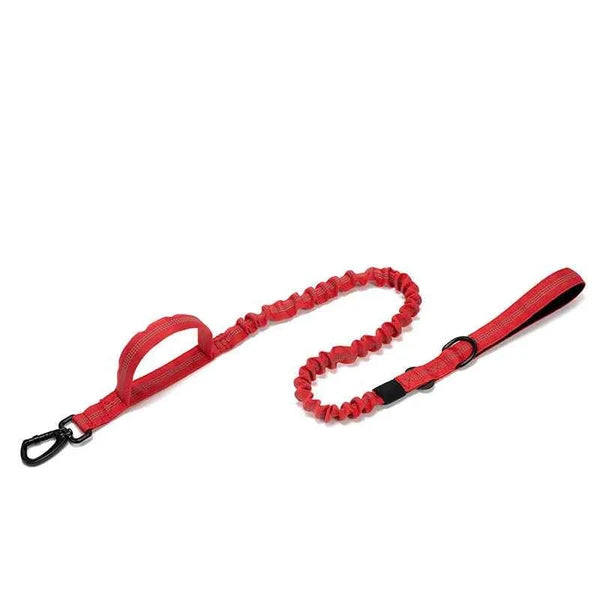 Durable Nylon Dog Collar with Reflective Leash Set