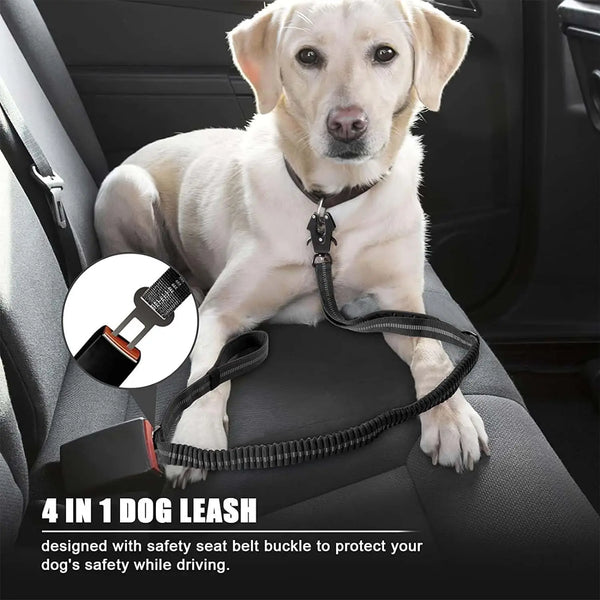 Reflective Shock Absorbing Bungee Dog Leash with Seatbelt Clip