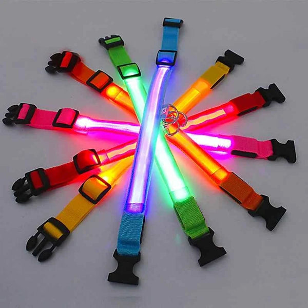 LED Pet Dog Collar for Night Safety | Bright USB Rechargeable