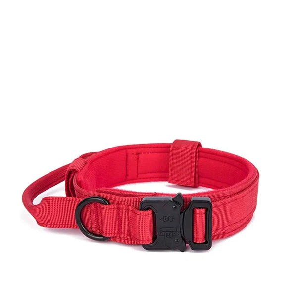 Durable Nylon Dog Collar with Reflective Leash Set