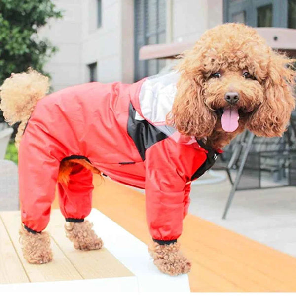 Waterproof Dog Raincoat | Keep Your Pup Dry & Happy in Any Storm
