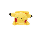 Pokémon Sleeping 5-Inch Plush - Collectors World Toys