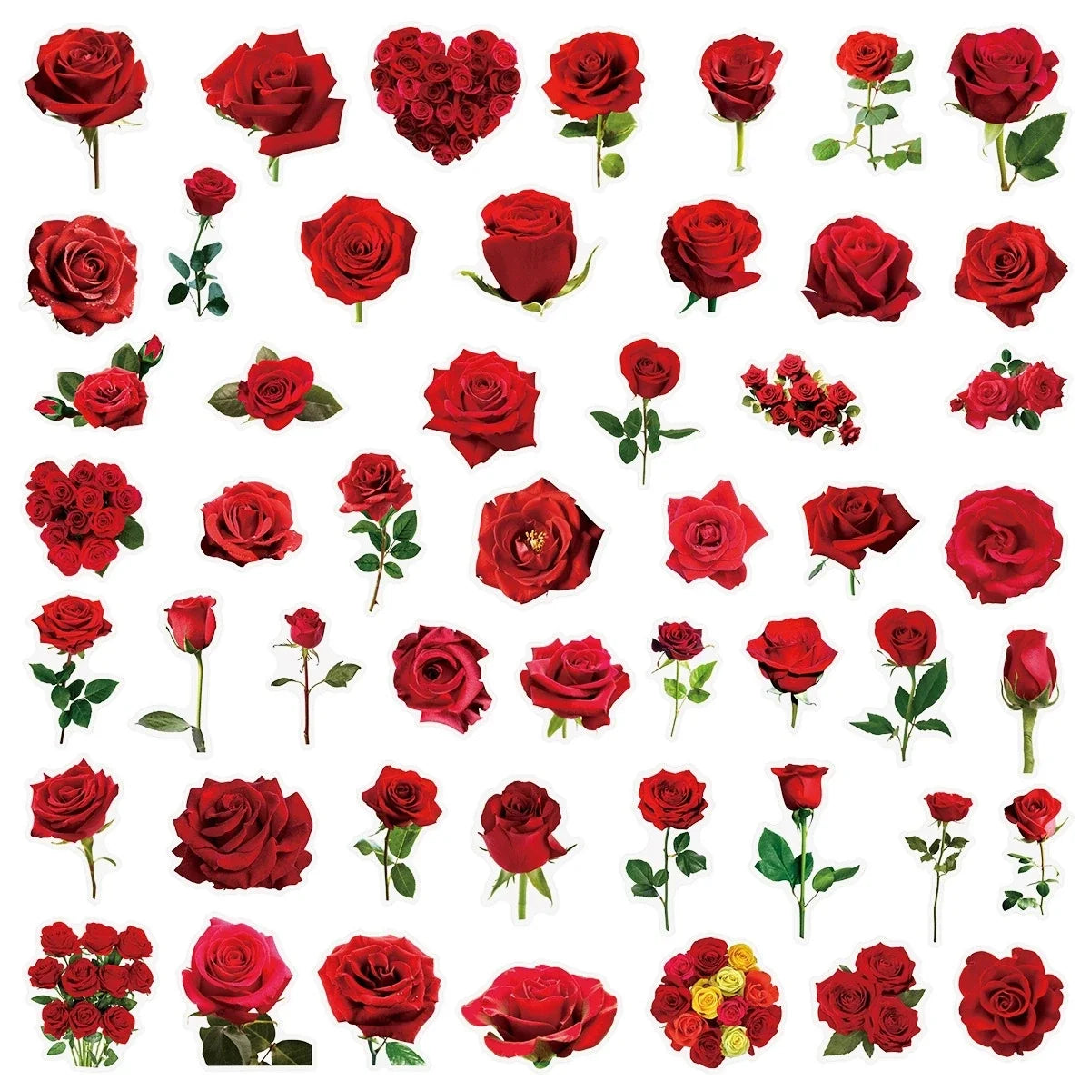 50/200PCS Transparent PET Flower Plant Material Stickers Handbooks Tablets Phone Water Cups Decor Stationary Notebook Stickers
