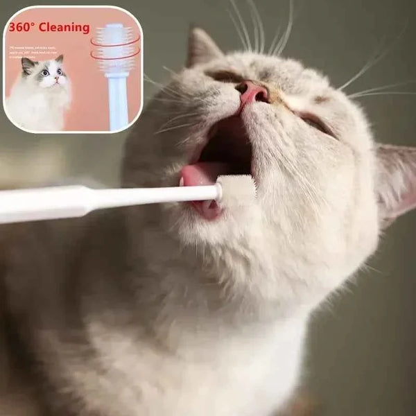 Complete Pet Toothbrush And Toothpaste Kit