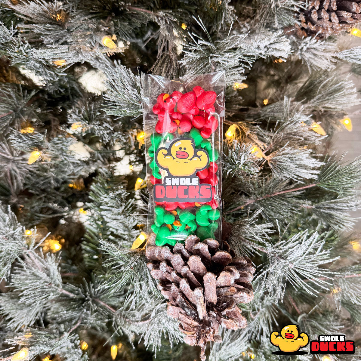 Holiday Micro Swole Ducks - 24 Per Quack Pack Main image
