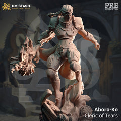 Aboro-Ko, Cleric of Tears (Male Human Pirate Cleric)