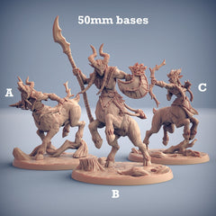 Arverian Cervitaurs (Centaur Warriors)