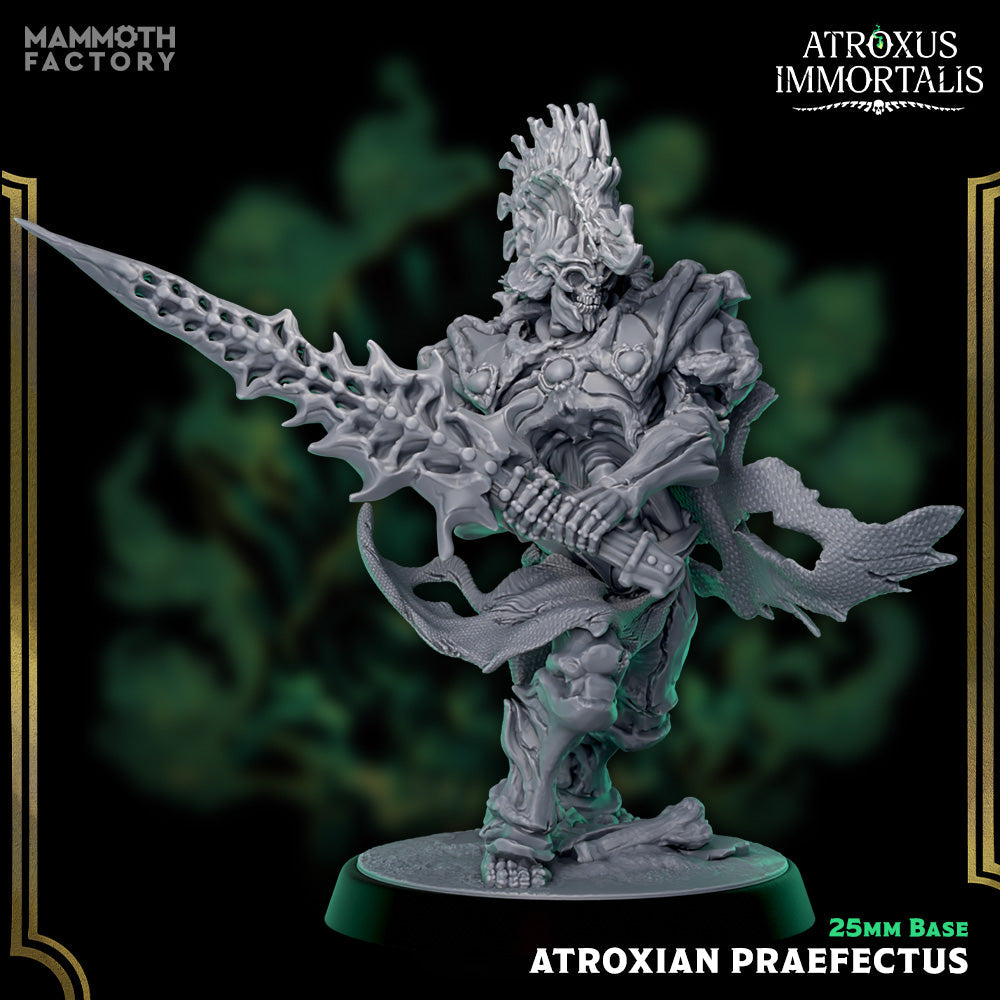 Atroxian Praefectus (Skeleton Warrior) Main image