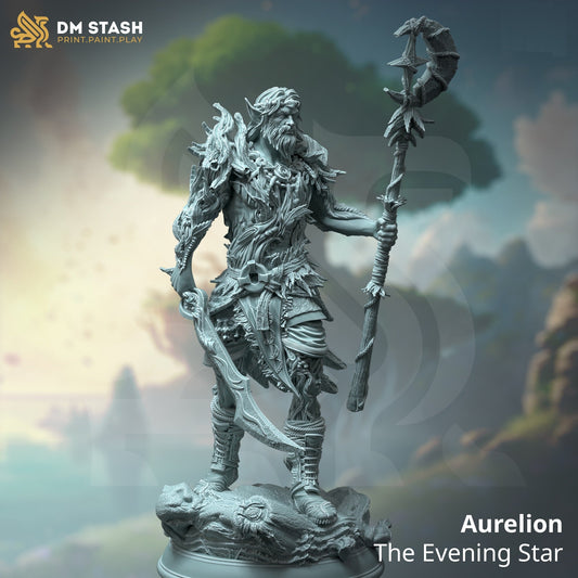 Aurelion, the Evening Star (Male Half-Elf Druid)