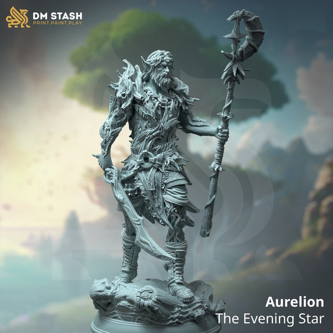 Aurelion, the Evening Star (Male Half-Elf Druid) - Hover Image