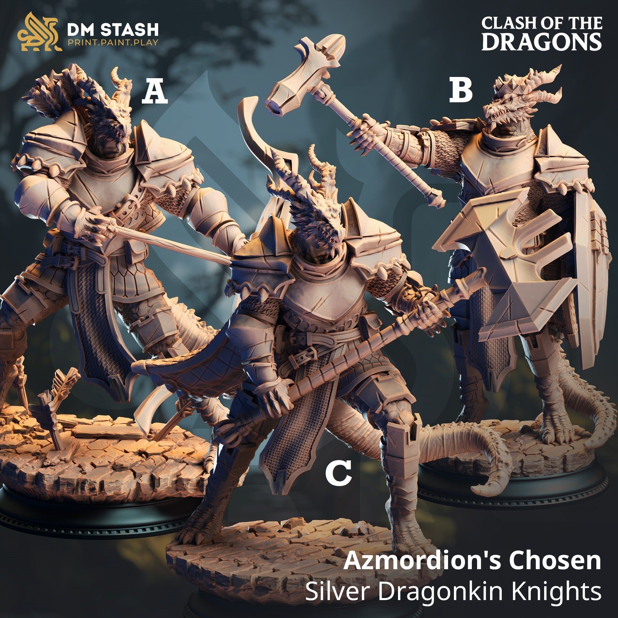 Azmordion's Chosen, Silver Dragonkin Knights (Dragonborn Paladins) Main image