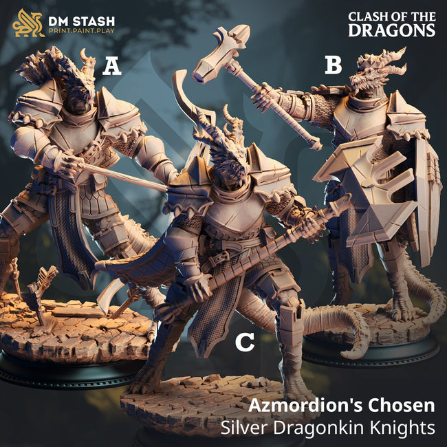Azmordion's Chosen, Silver Dragonkin Knights (Dragonborn Paladins) Hover Image