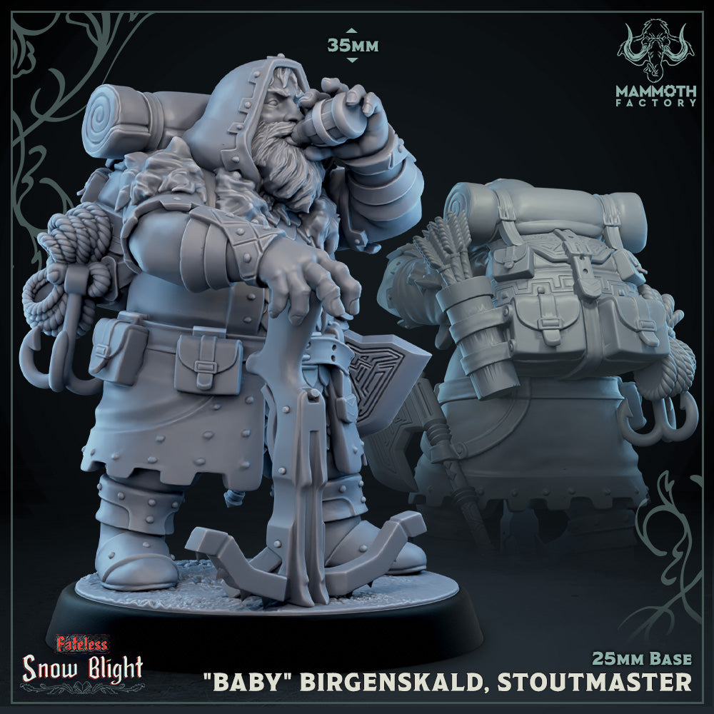 "Baby" Birgenskald, Stoutmaster (Male Dwarf Fighter) Main image