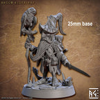 Baggo Elderleaf (Male Gnome Wizard)