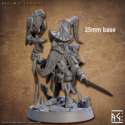 Baggo Elderleaf (Male Gnome Wizard)