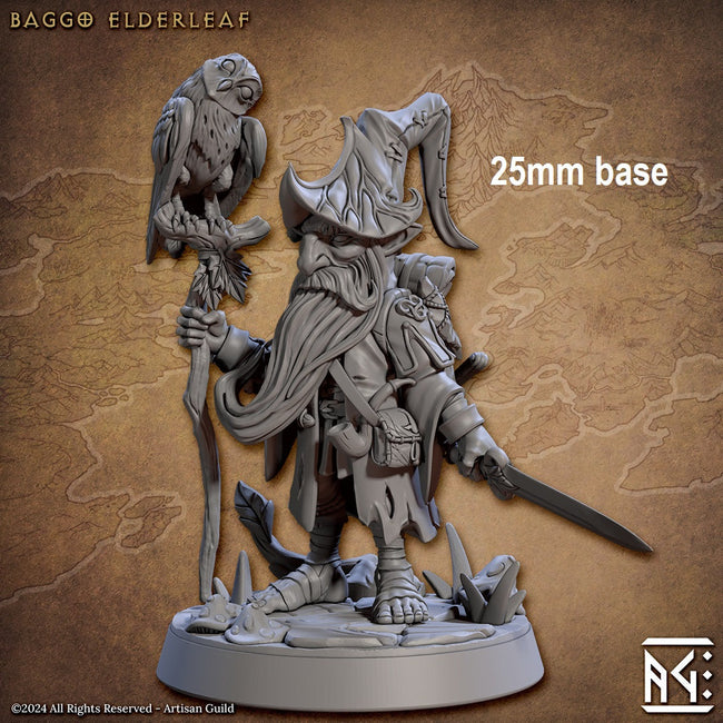 Baggo Elderleaf (Male Gnome Wizard) Hover Image