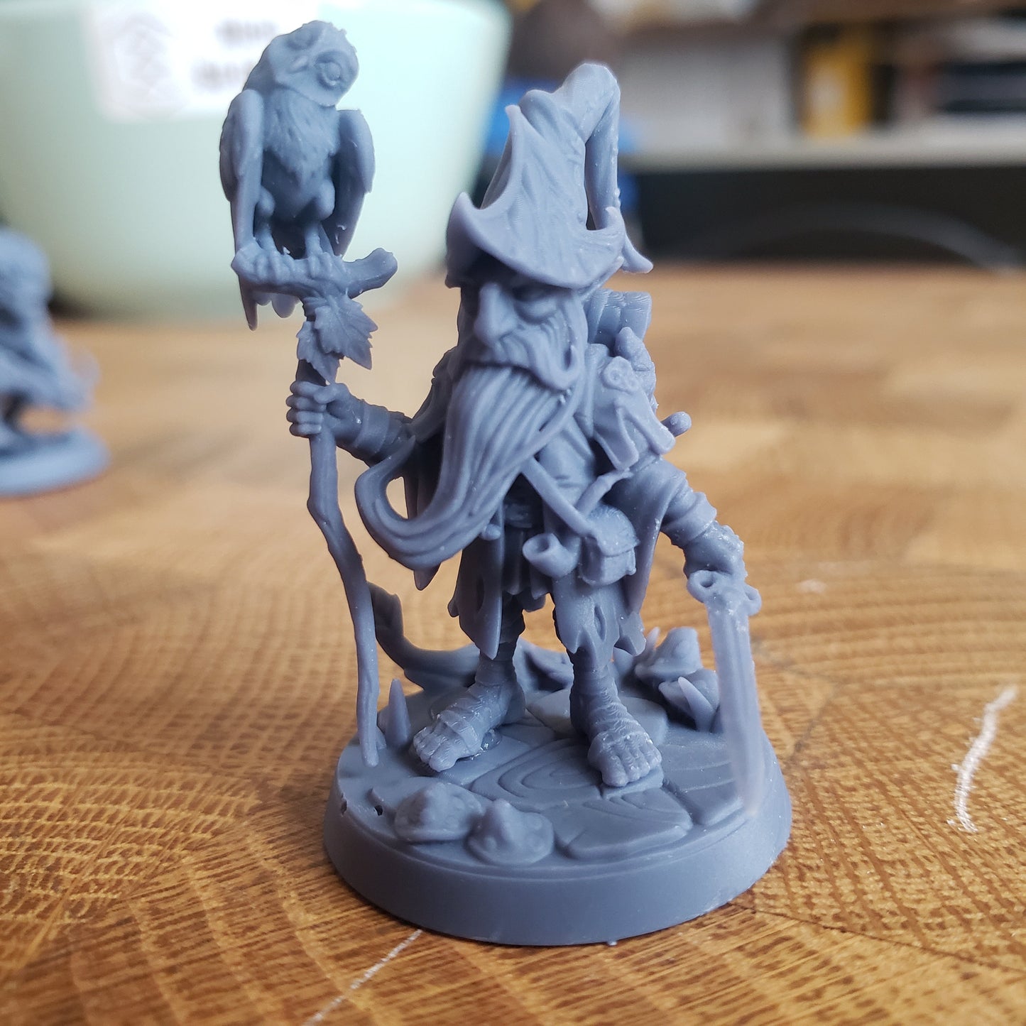 Baggo Elderleaf (Male Gnome Wizard)