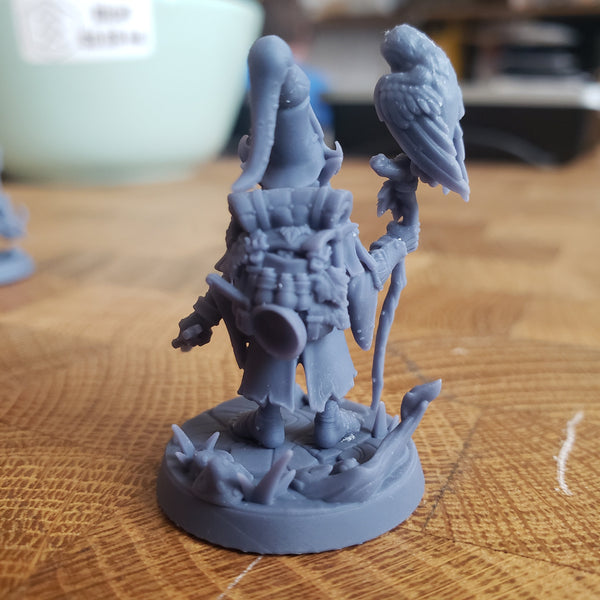 Baggo Elderleaf (Male Gnome Wizard)