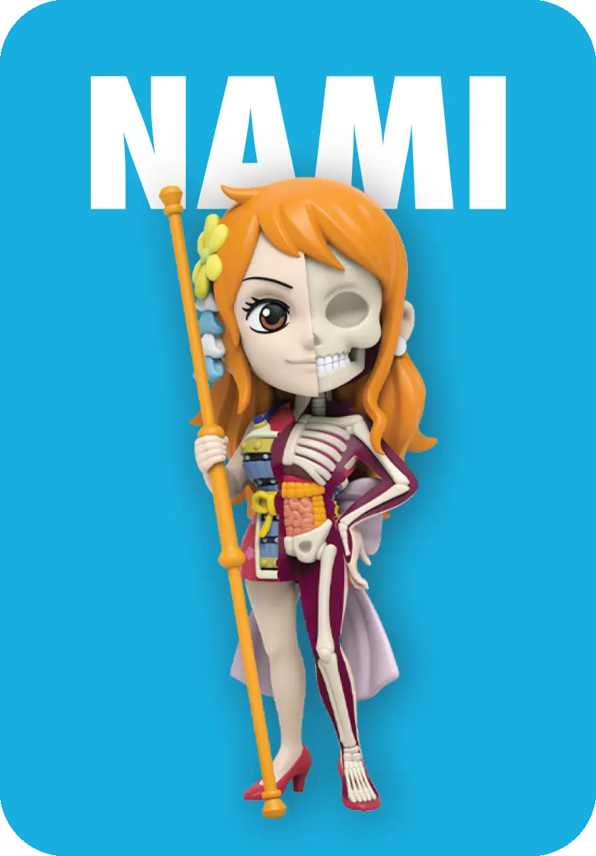 Freeny’s Hidden Dissectibles: One Piece (Ladies Edition) Blind Box (1 Blind Box) - Collectors World Toys