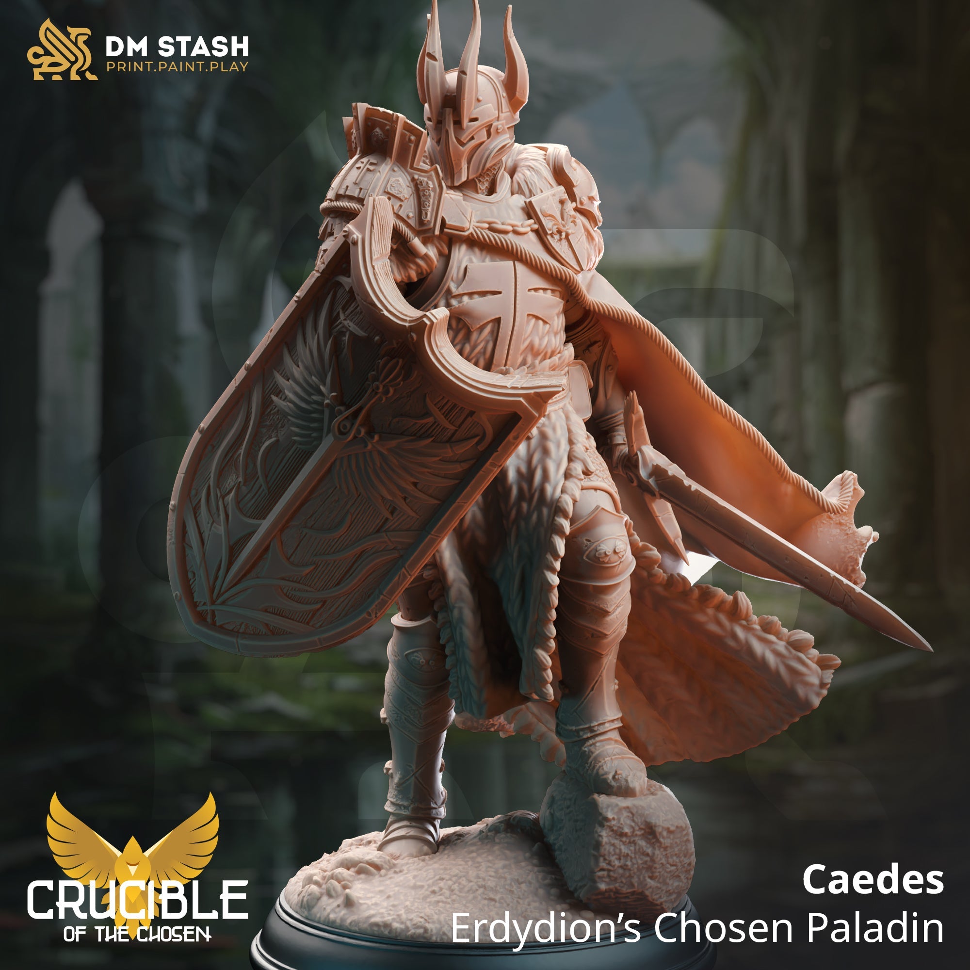 Caedes, Erdydion's Chosen Paladin (Male Paladin) Main image