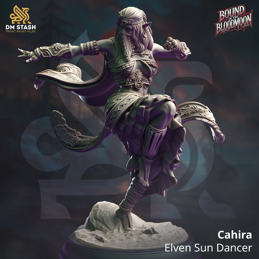 Cahira, Elven Sun Dancer (Female Elf Monk)