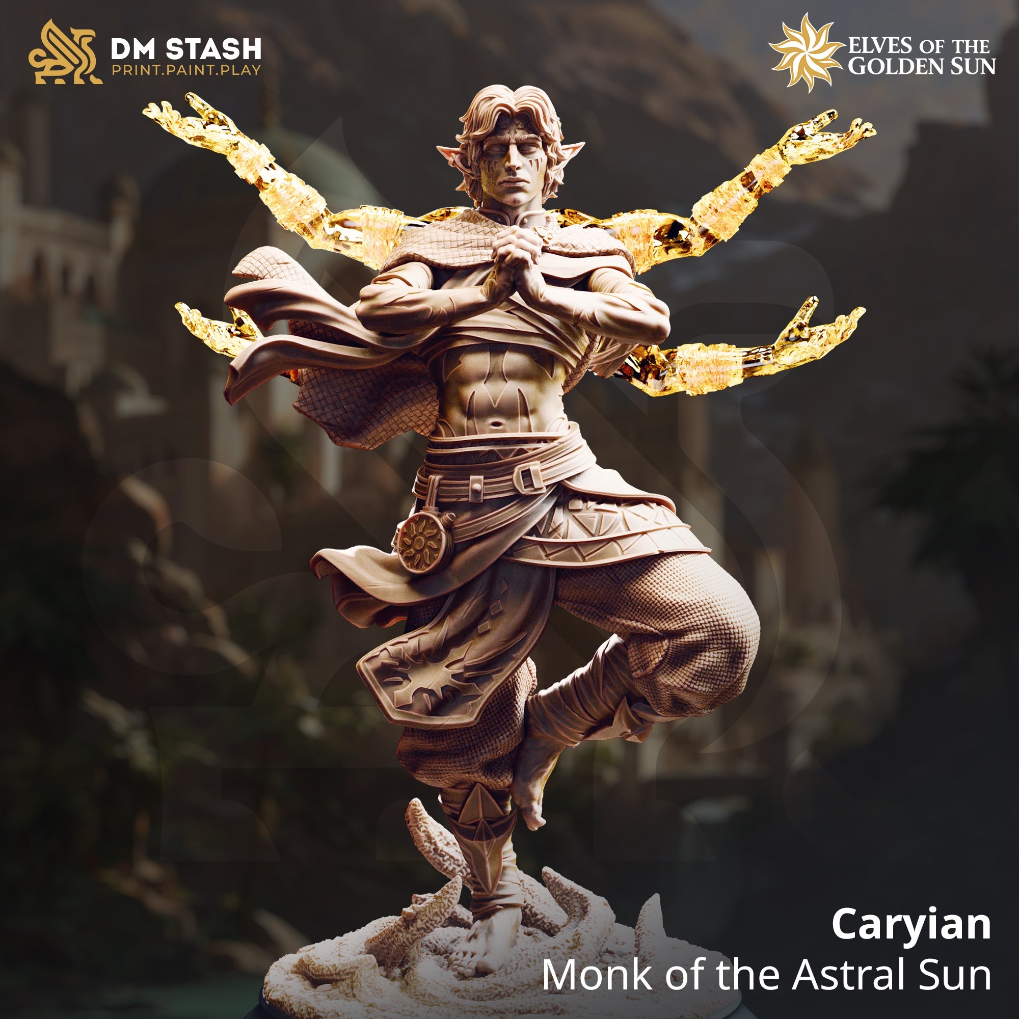 Caryian, Monk of the Astral Sun (Male Sun Elf Monk)