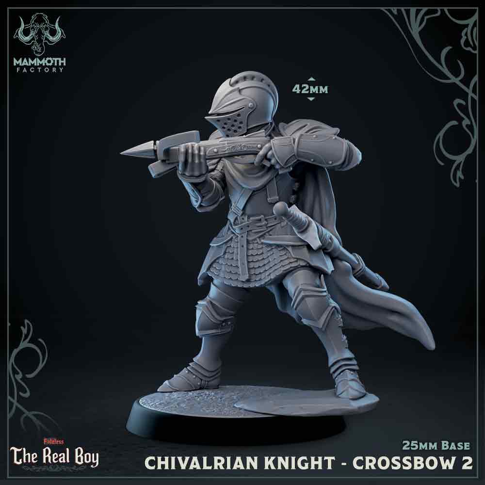 Chivalrian Knight with Crossbow 2 (Paladin) Main image