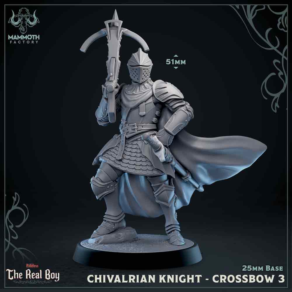 Chivalrian Knight with Crossbow 3 (Paladin) Main image