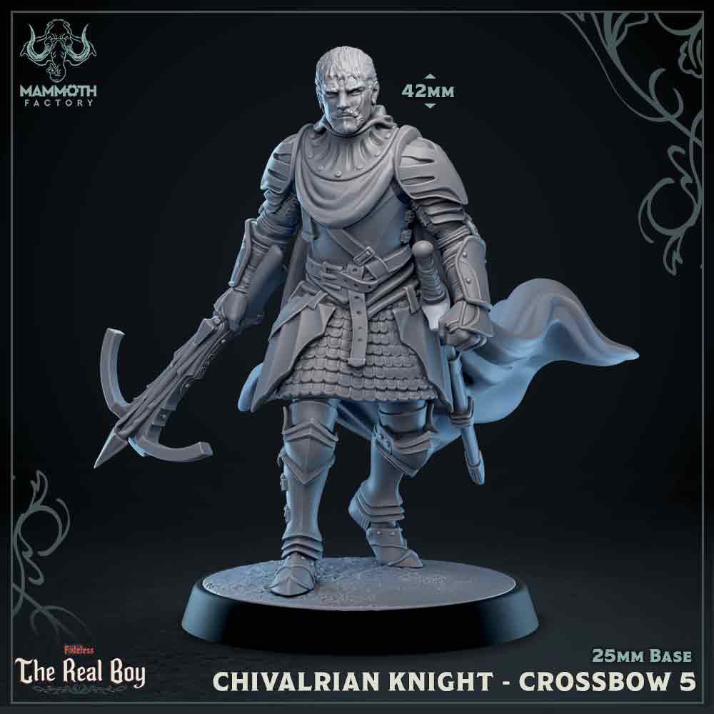 Chivalrian Knight with Crossbow 5 (Paladin) Main image