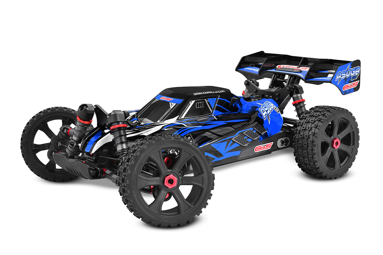 Team Corally - Asuga XLR 6S Roller -  Large Scale