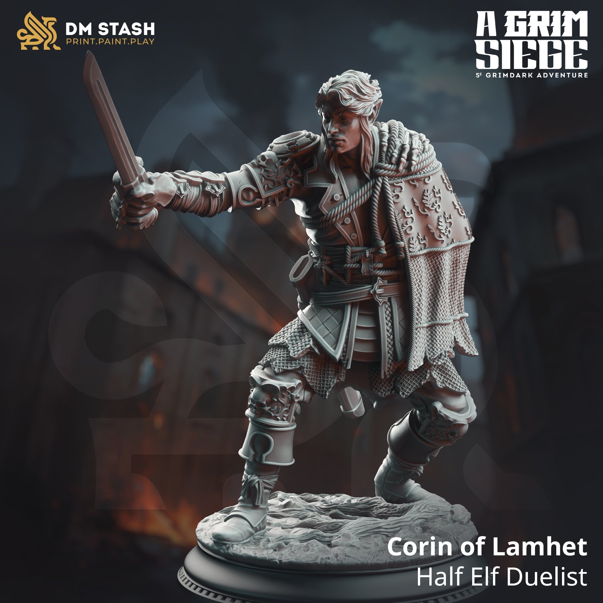 Corin of Lamhet, Half Elf Duelist (Male Half-Elf Rogue) Main image