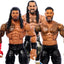WWE Elite Top Picks 2025 Action Figure - Select Figure(s) - Collectors World Toys
