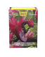 Dragon Shield: Standard 100ct Art Sleeves - Sahar