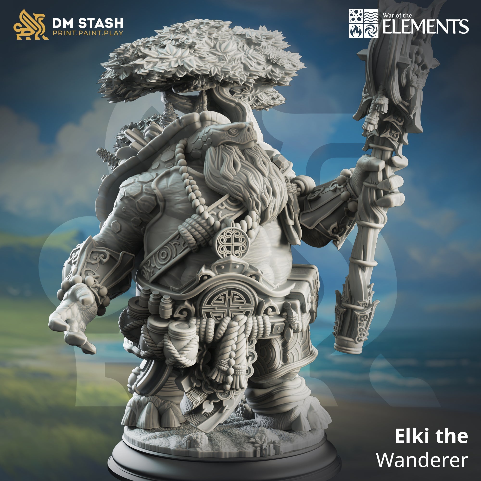 Elki, the Wanderer (Male Tortle Cleric) Main image