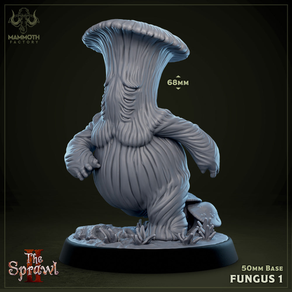Fungus 1 (Large Myconid) Main image
