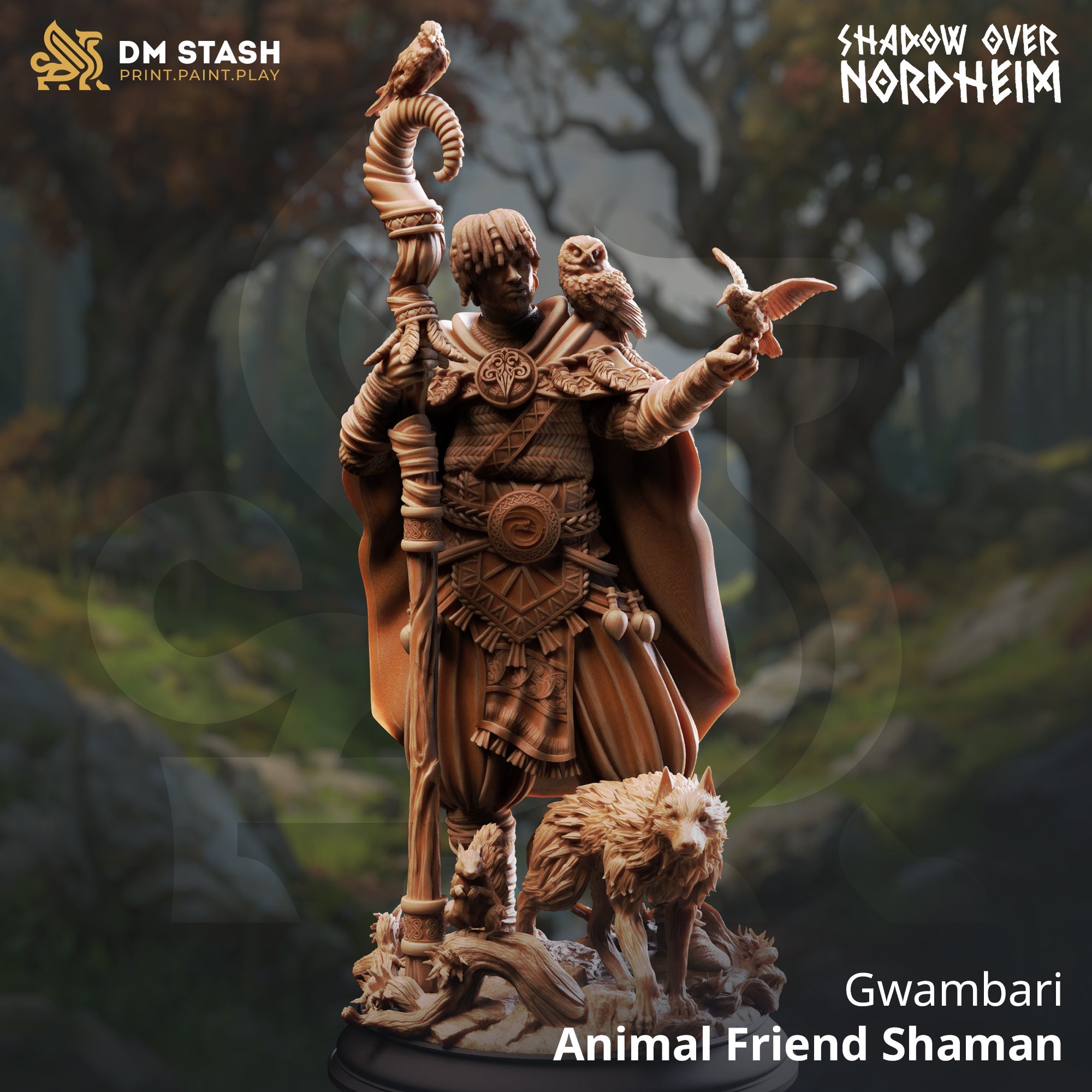 Gwambari, Animal Friend Shaman (Male Human Beastmaster) Main image