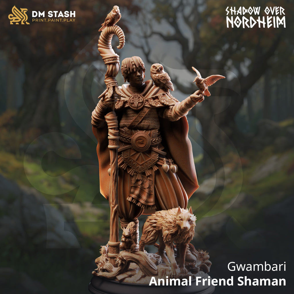 Gwambari, Animal Friend Shaman (Male Human Beastmaster)