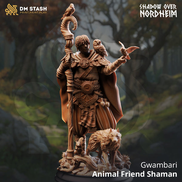 Gwambari, Animal Friend Shaman (Male Human Beastmaster)