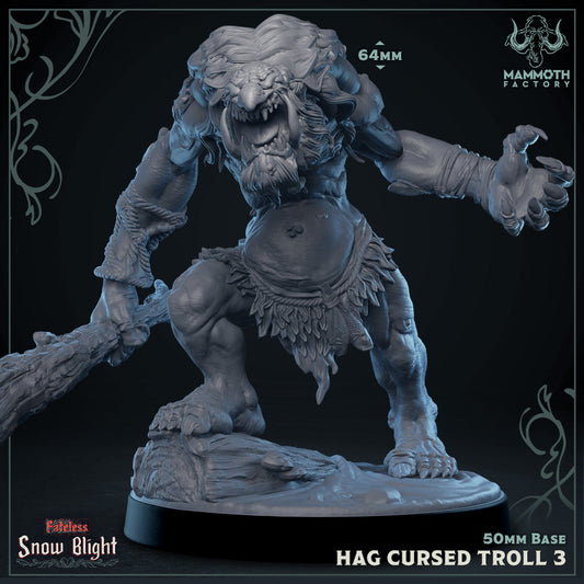 Hag Cursed Troll 3