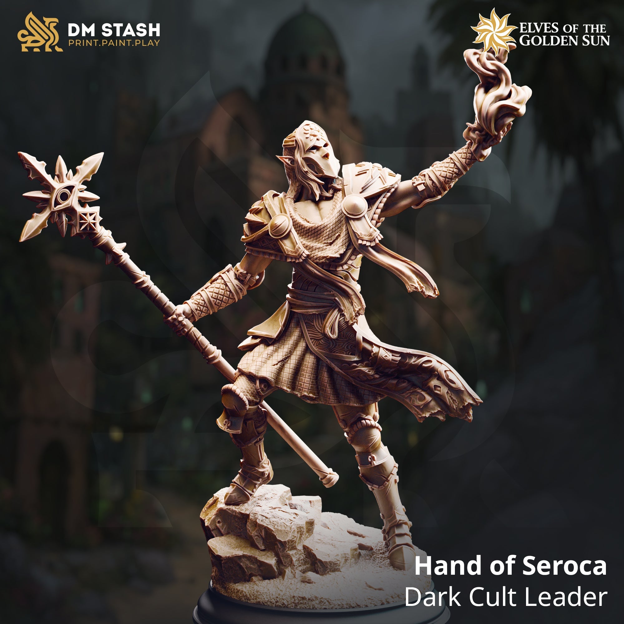 Hand of Seroca, Dark Cult Leader (Male Sun Elf Sorcerer) Main image