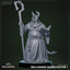 Hellswake Wardlighter: Sculpt 1 (Male Tiefling Cleric)
