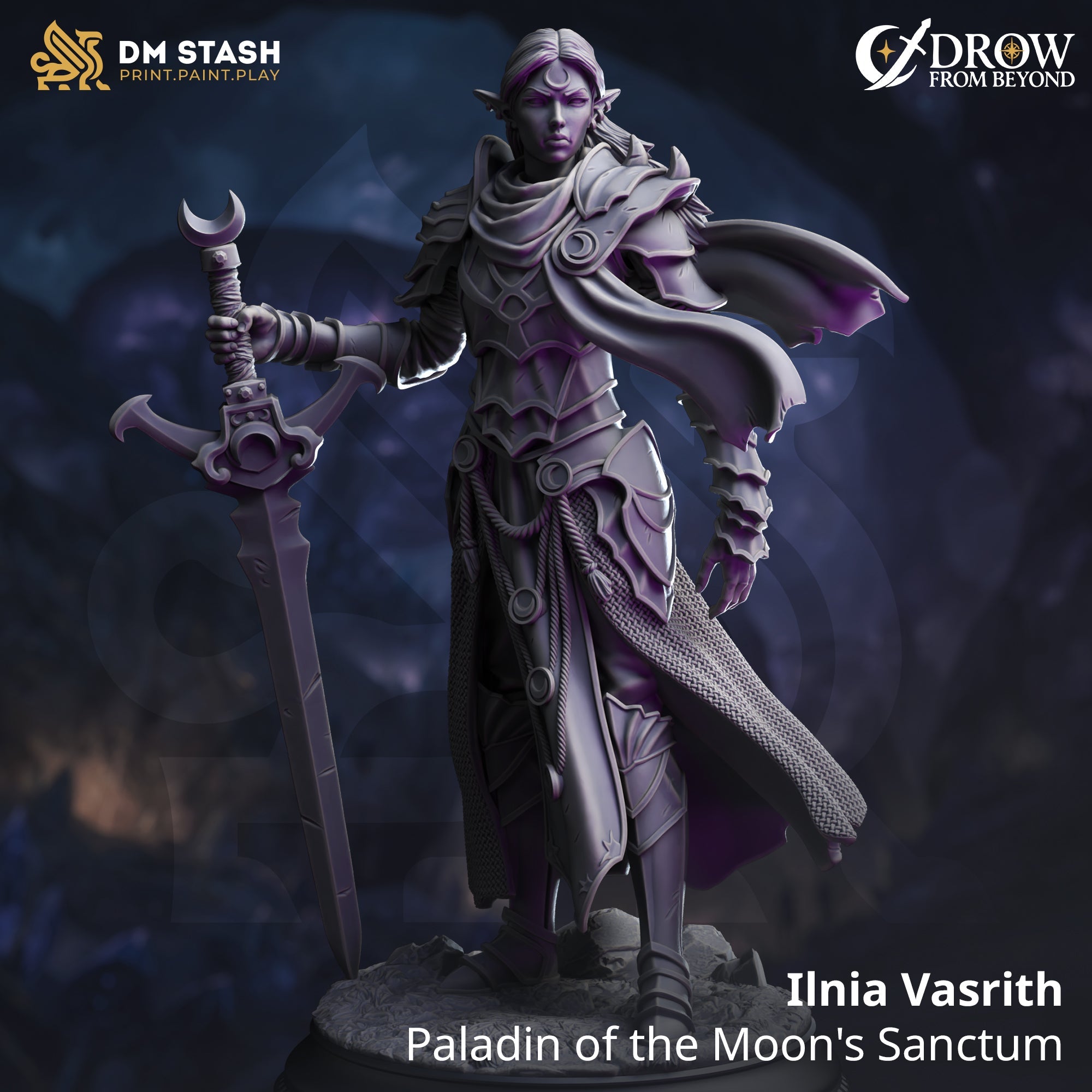 Ilnia Vasrith, Paladin of the Moon's Sanctum (Female Drow Paladin) Main image