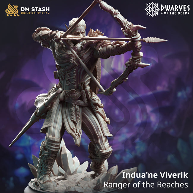 Indua'ne Viverik, Ranger of the Reaches (Male Drow Ranger) - Hover Image