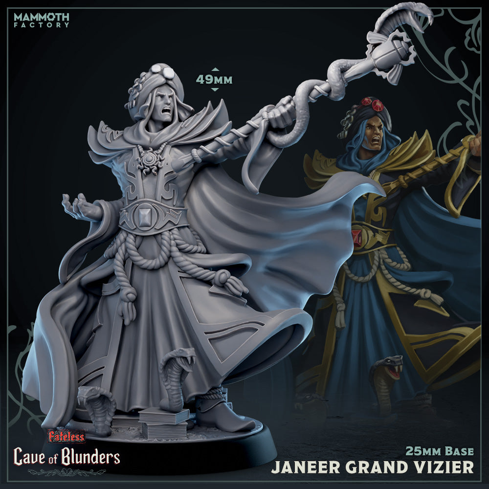 Janeer, Grand Vizier (Male Human Sorcerer) Main image