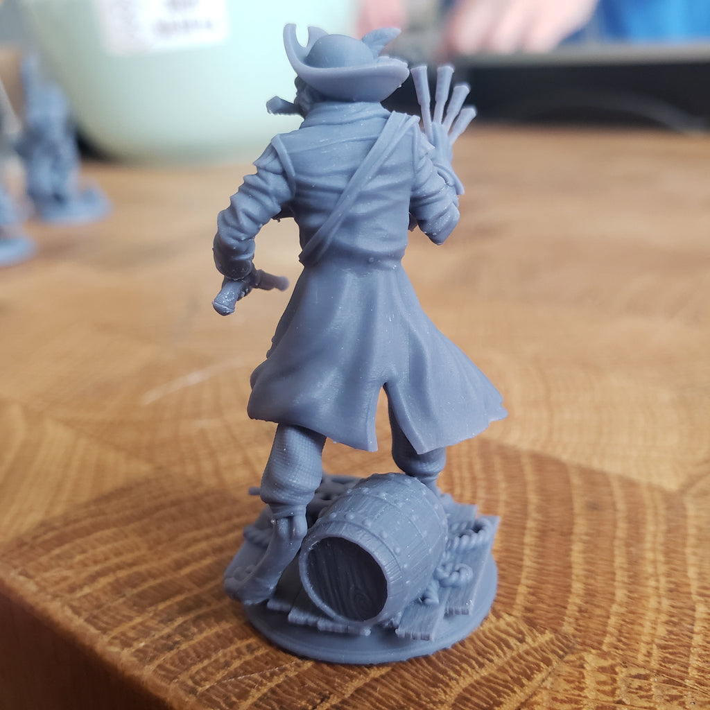 Kara'Ta, The Catfolk Corsair (Male Tabaxi Pirate)