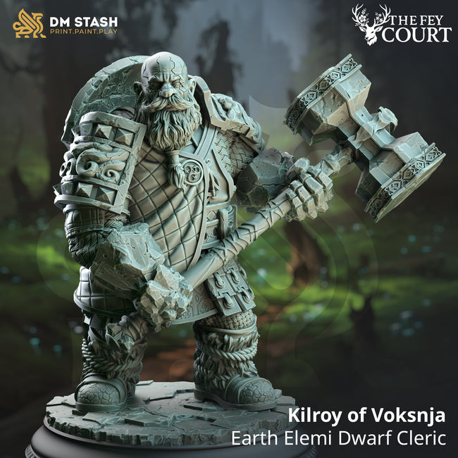 Kilroy of Voksnja (Male Earth Elemi Dwarf Cleric) Hover Image